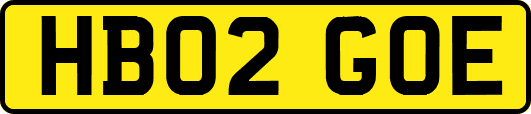 HB02GOE