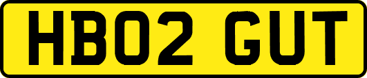 HB02GUT