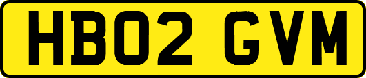 HB02GVM