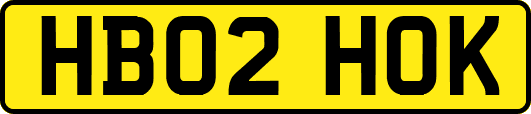 HB02HOK