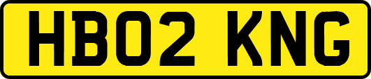 HB02KNG