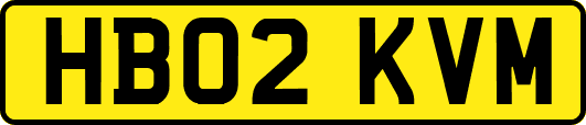 HB02KVM