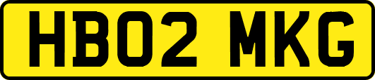 HB02MKG
