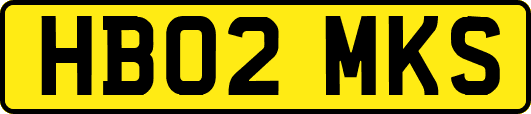 HB02MKS