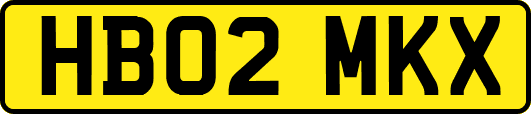 HB02MKX