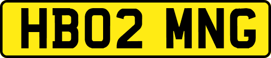 HB02MNG