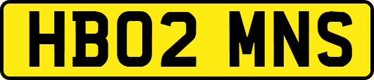 HB02MNS