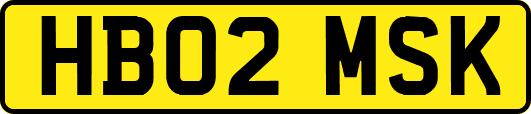 HB02MSK