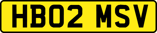 HB02MSV