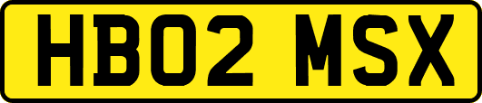HB02MSX