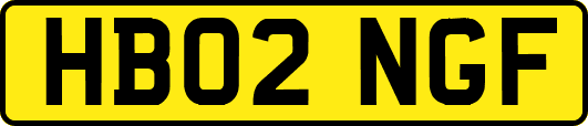 HB02NGF