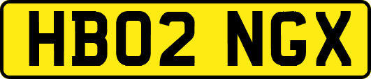 HB02NGX