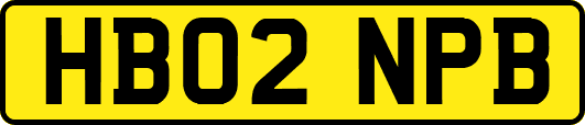 HB02NPB
