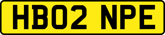 HB02NPE