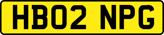 HB02NPG