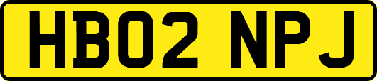 HB02NPJ