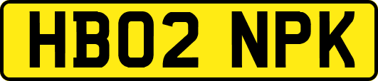 HB02NPK