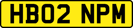 HB02NPM
