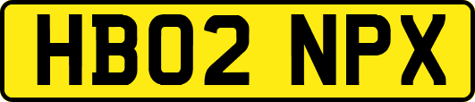 HB02NPX