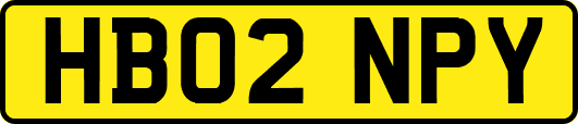 HB02NPY