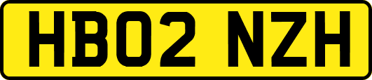 HB02NZH