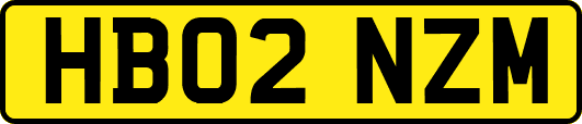 HB02NZM