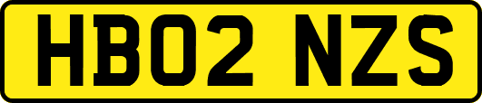 HB02NZS