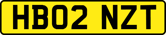 HB02NZT