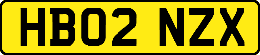 HB02NZX