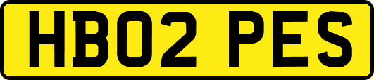 HB02PES