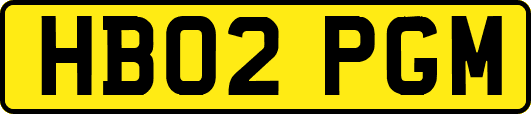 HB02PGM