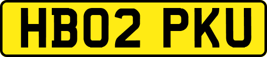 HB02PKU