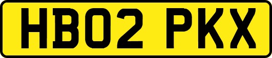 HB02PKX
