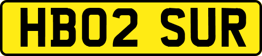 HB02SUR
