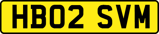 HB02SVM