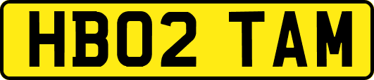 HB02TAM