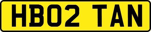 HB02TAN