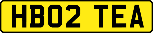 HB02TEA