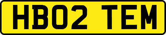 HB02TEM