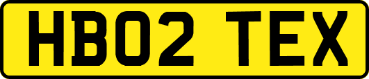 HB02TEX