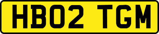 HB02TGM