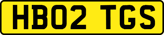 HB02TGS