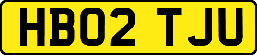 HB02TJU