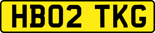 HB02TKG