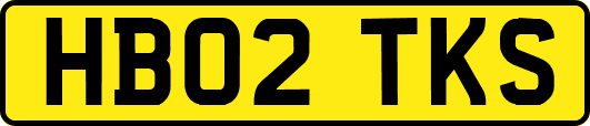 HB02TKS