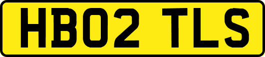 HB02TLS
