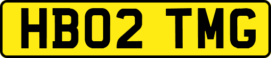 HB02TMG
