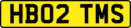 HB02TMS