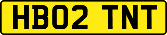HB02TNT