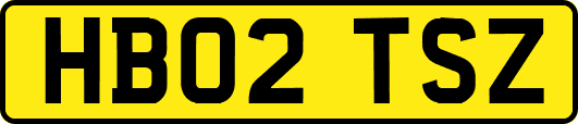 HB02TSZ